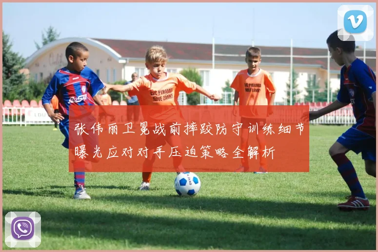 张伟丽卫冕战前摔跤防守训练细节曝光应对对手压迫策略全解析